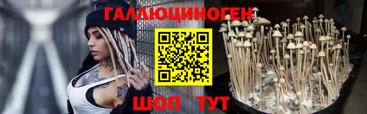 Хабаровск  Псилоцибиновые грибы Cubensis  Псилоцибиновые грибы ЛСД  Вход с VPN 